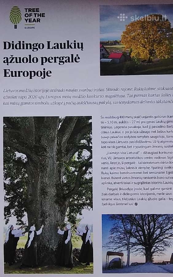 Sodo spalvos Nr. 5, 2026 - nuotraukos Nr. 3