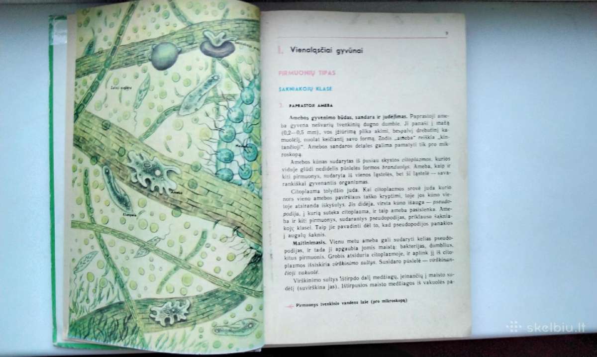 Zoologija. 7-8 kl. 1988 m. - nuotraukos Nr. 4