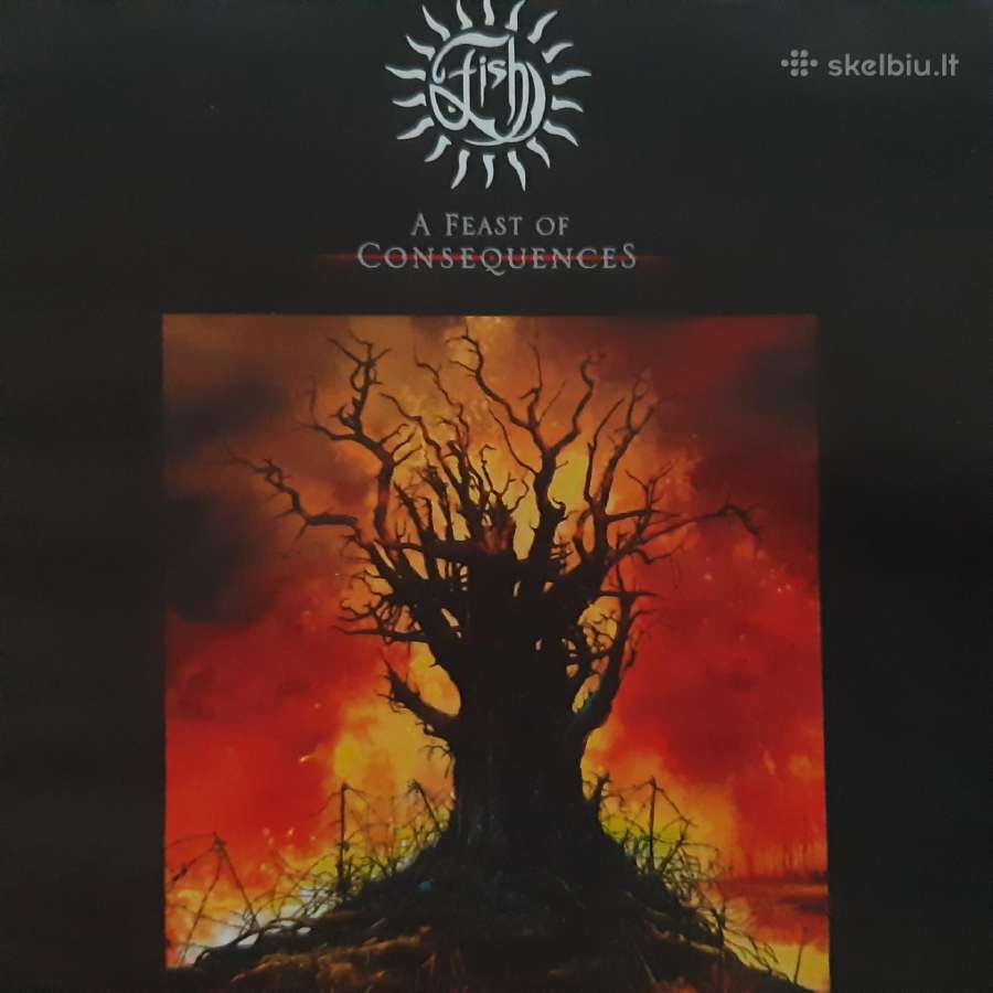 Keletas CD - nuotraukos Nr. 9