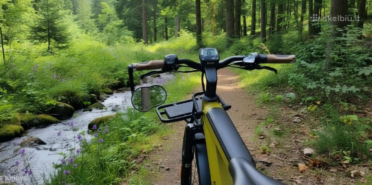 Riese & Müller Charger3 GT Vario - nuotraukos Nr. 26