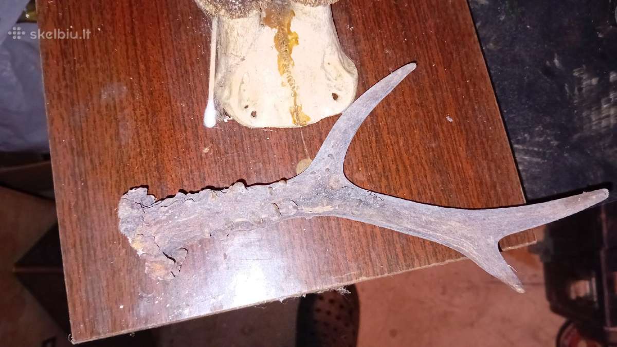 Sveiki. Gal kažkas patiks. Stebėkite kitus skelbim - nuotraukos Nr. 30