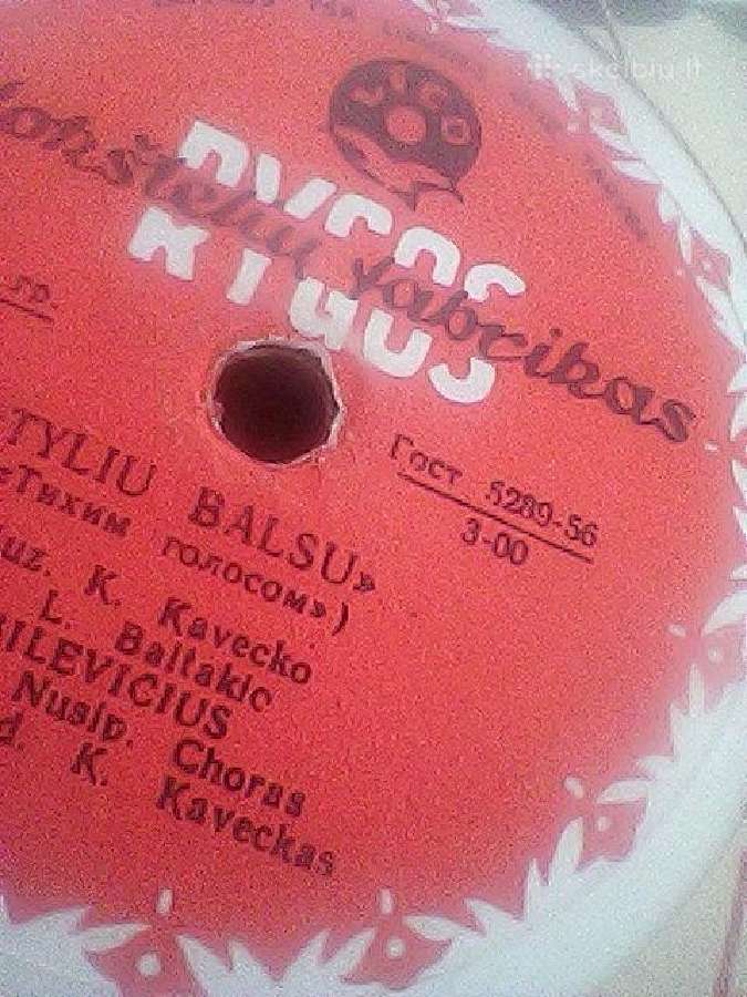 Lietuviškos muzikos atlikėjai - nuotraukos Nr. 29