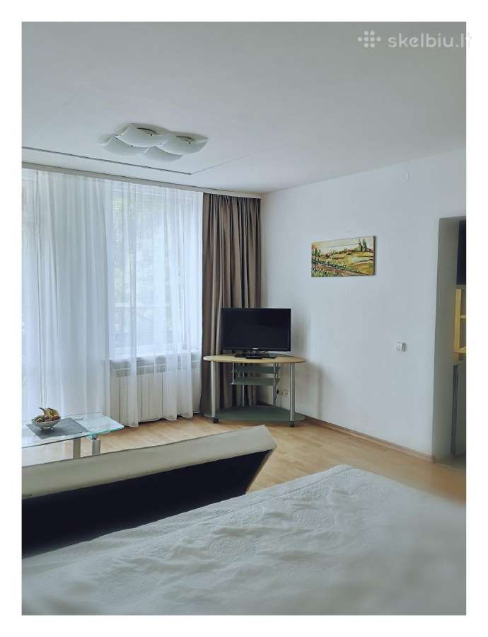 Išnuomojamas Jaukus Studijos Tipo Butas Centre - nuotraukos Nr. 3