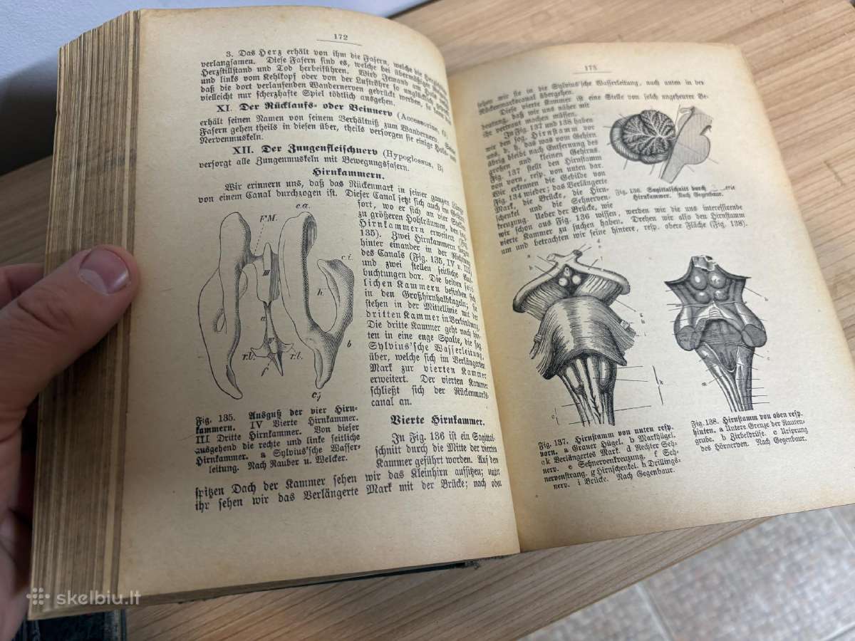 Antikvarinė knyga: „Das Frauenbuch" - nuotraukos Nr. 6