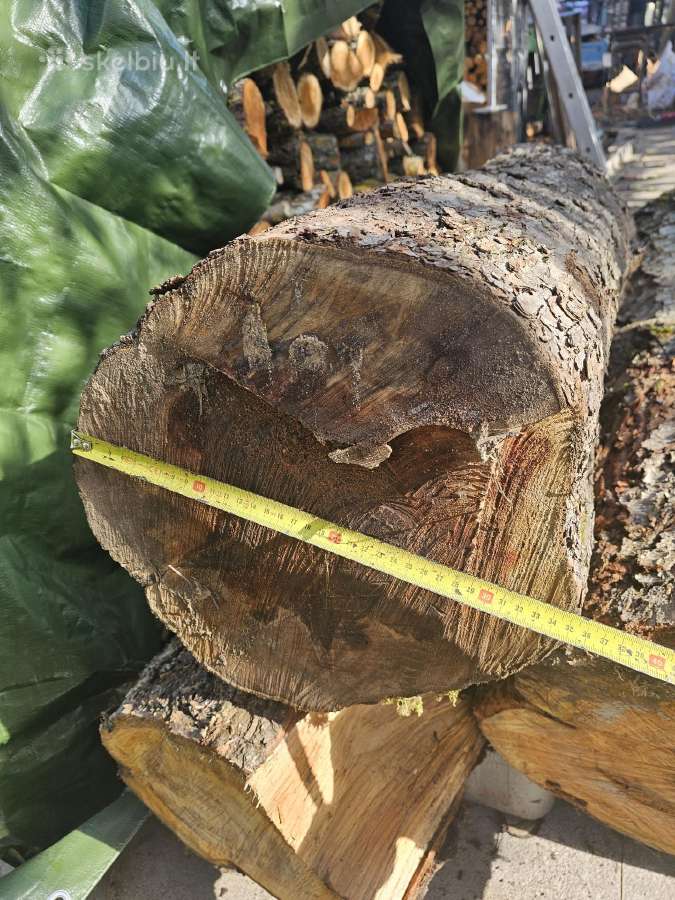 Gal ka domina stori obels ir trešnės rastai - nuotraukos Nr. 2
