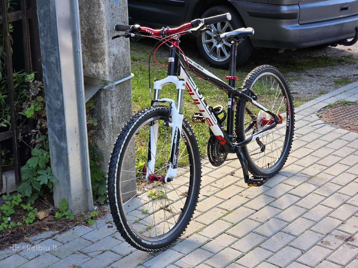 Bulls King Cobra ( S dydis 26ratai ) - nuotraukos Nr. 2