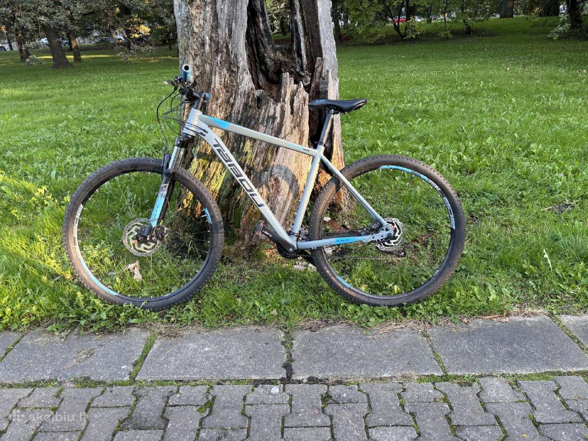 Tabou blade 3.0 - nuotraukos Nr. 3