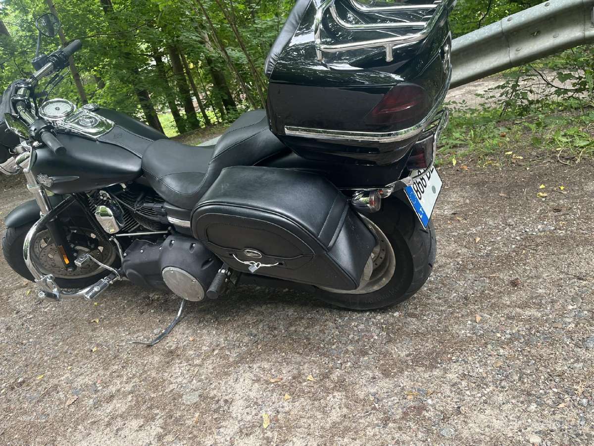 2010 Harley Davidson Fat Bob - nuotraukos Nr. 4