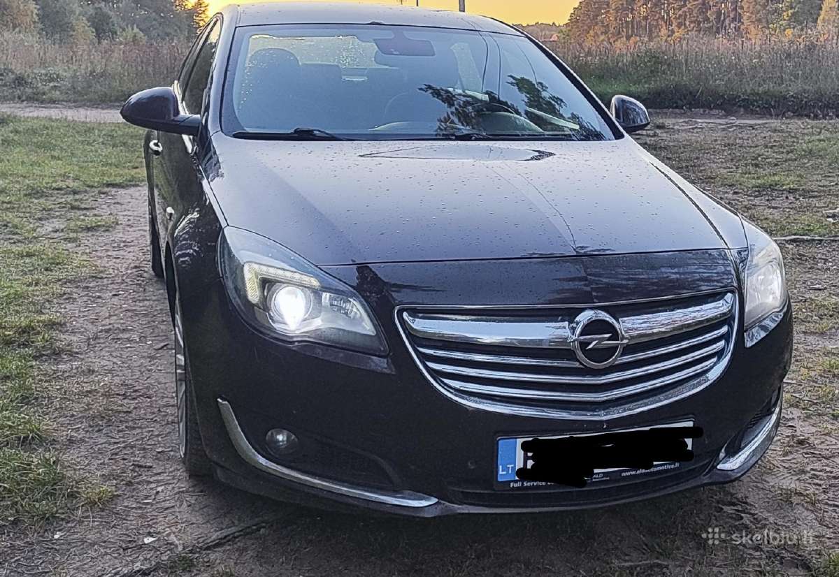 Opel Insignia - nuotraukos Nr. 2