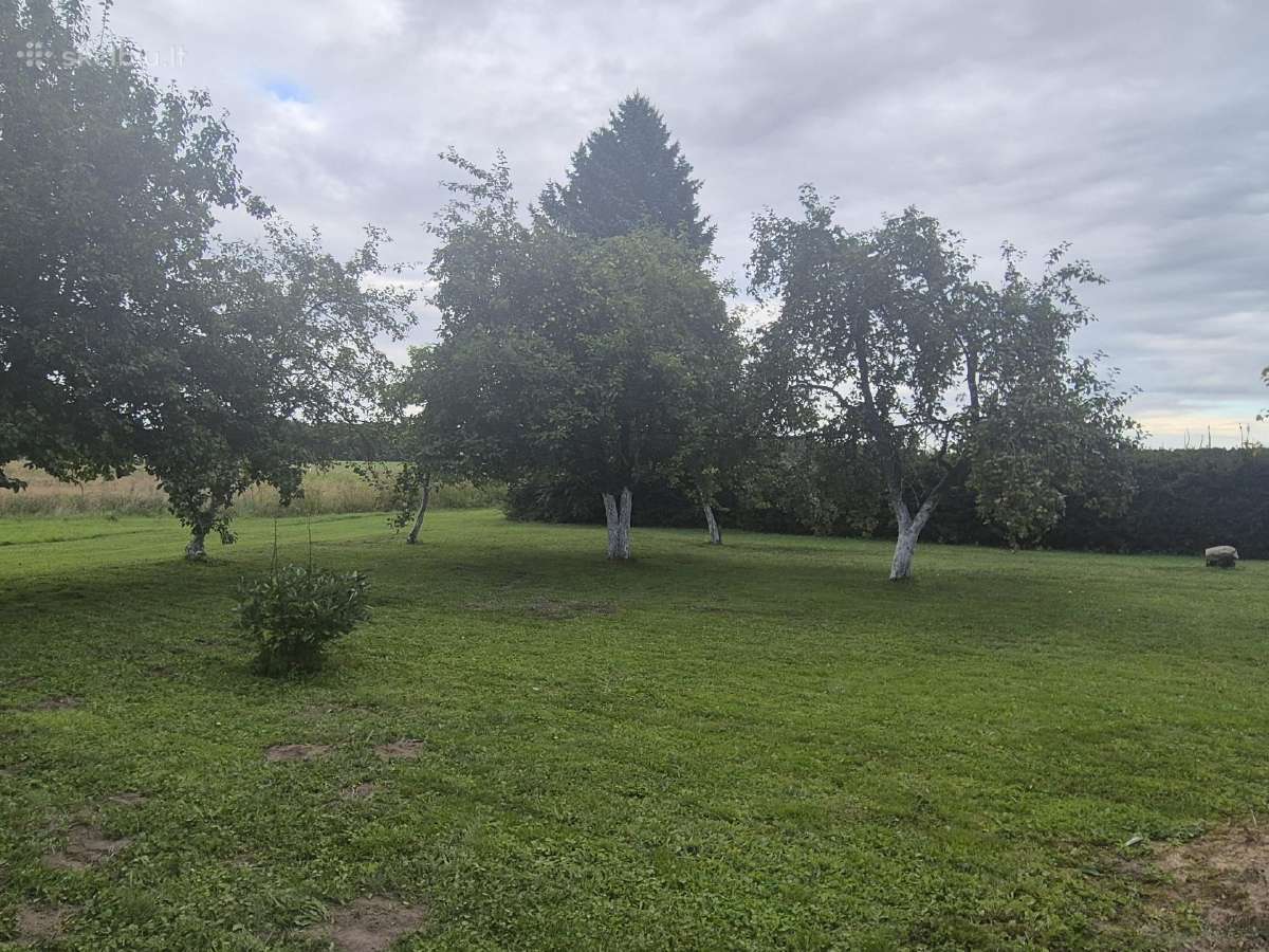 83a namų valda Pėžaičiai - nuotraukos Nr. 4