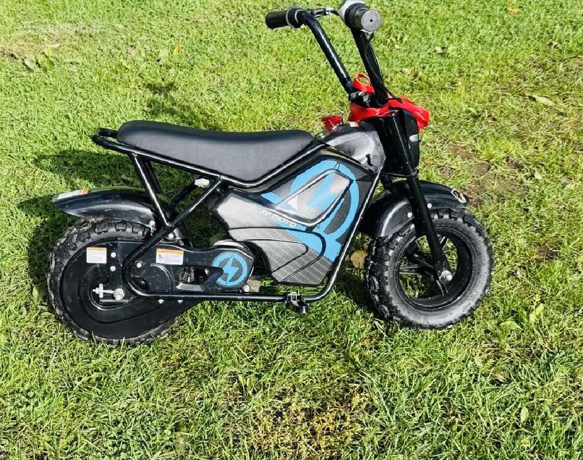 Elektrinis motociklas - nuotraukos Nr. 2