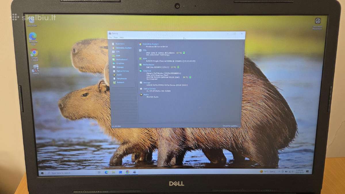 Dell Inspiron 3793 17.3'/i5-1035g1/8gb SSD/nvidia - nuotraukos Nr. 14