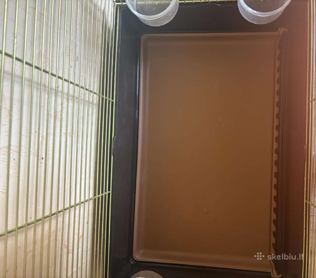 Du narveliai - nuotraukos Nr. 6