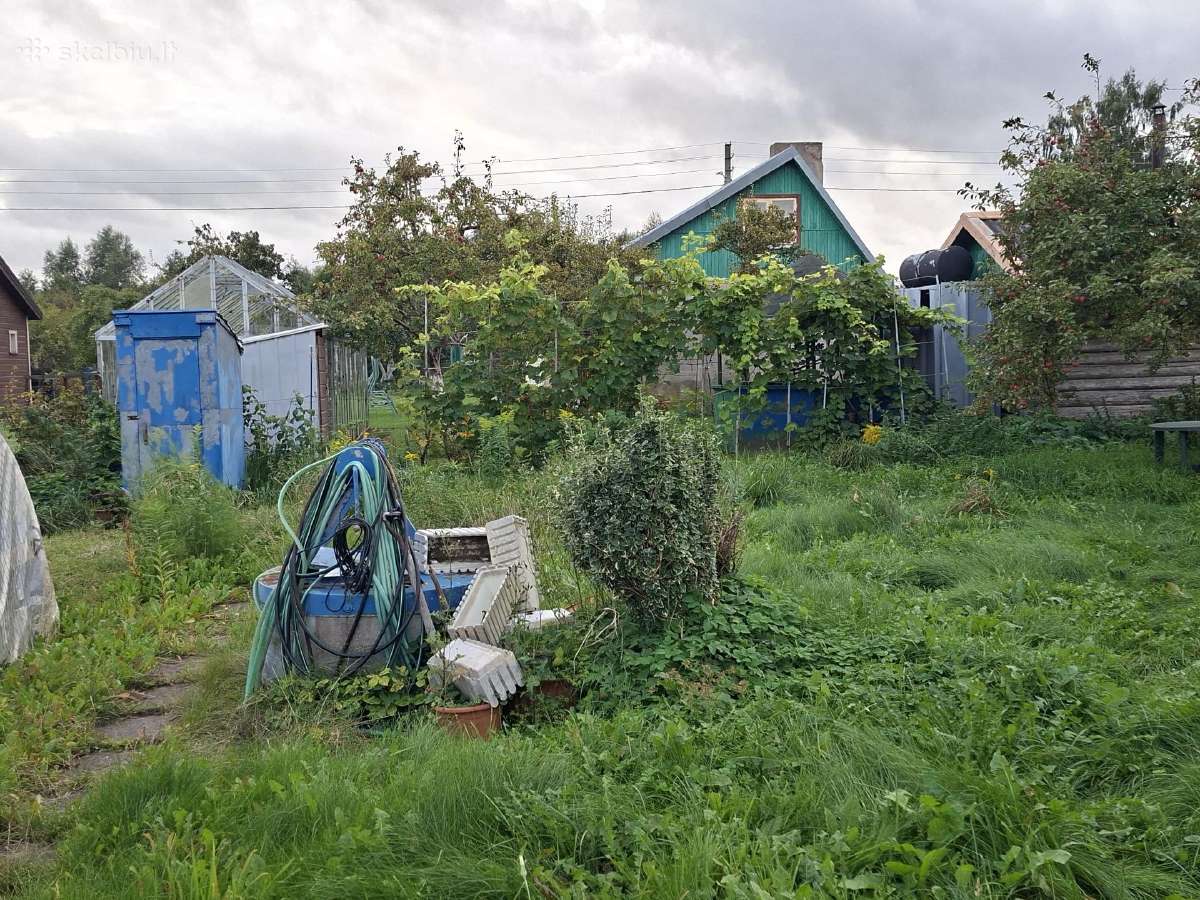 Sodo sklypas klaipedoje - nuotraukos Nr. 3