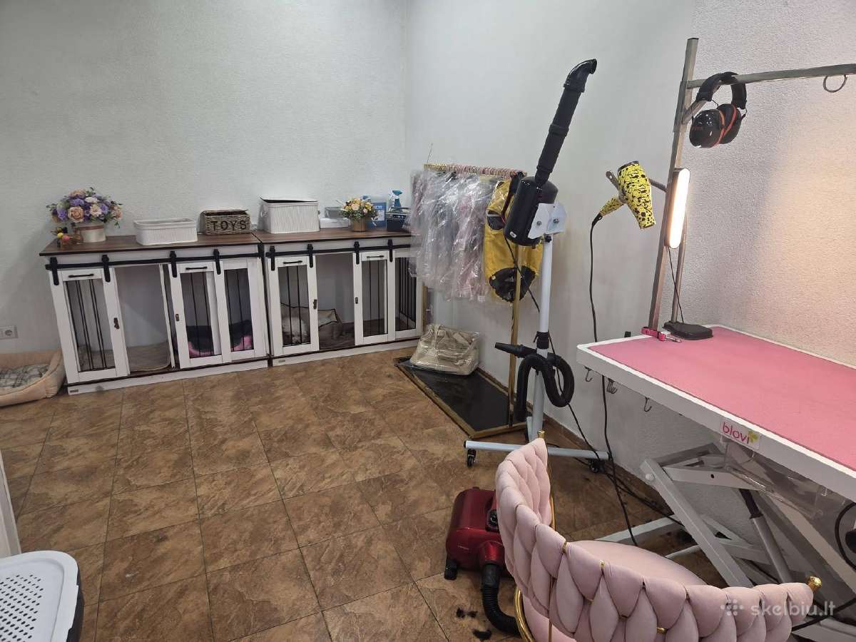 Ieškome Groomer Klaipėdos Centre! (Nuoma) - nuotraukos Nr. 2