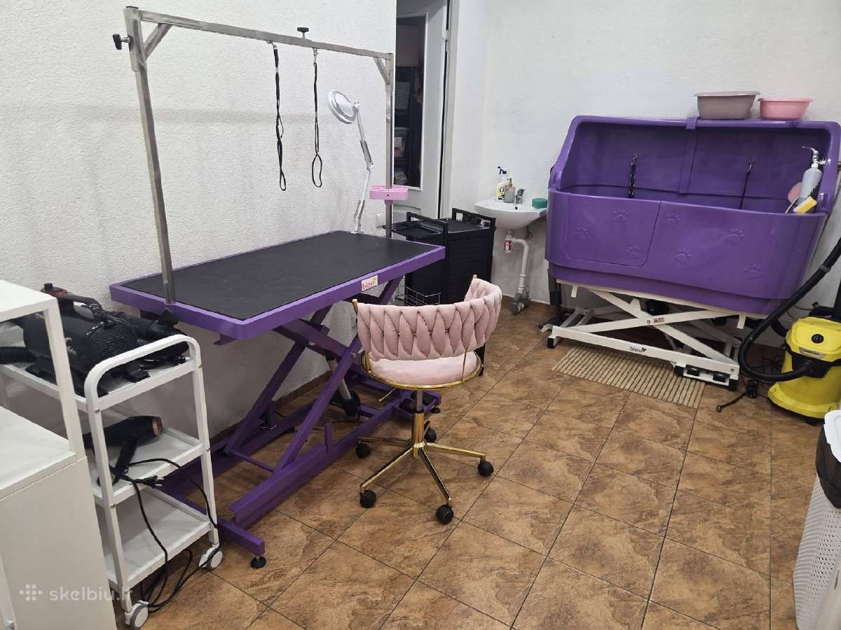 Ieškome Groomer Klaipėdos Centre! (Nuoma) - nuotraukos Nr. 3