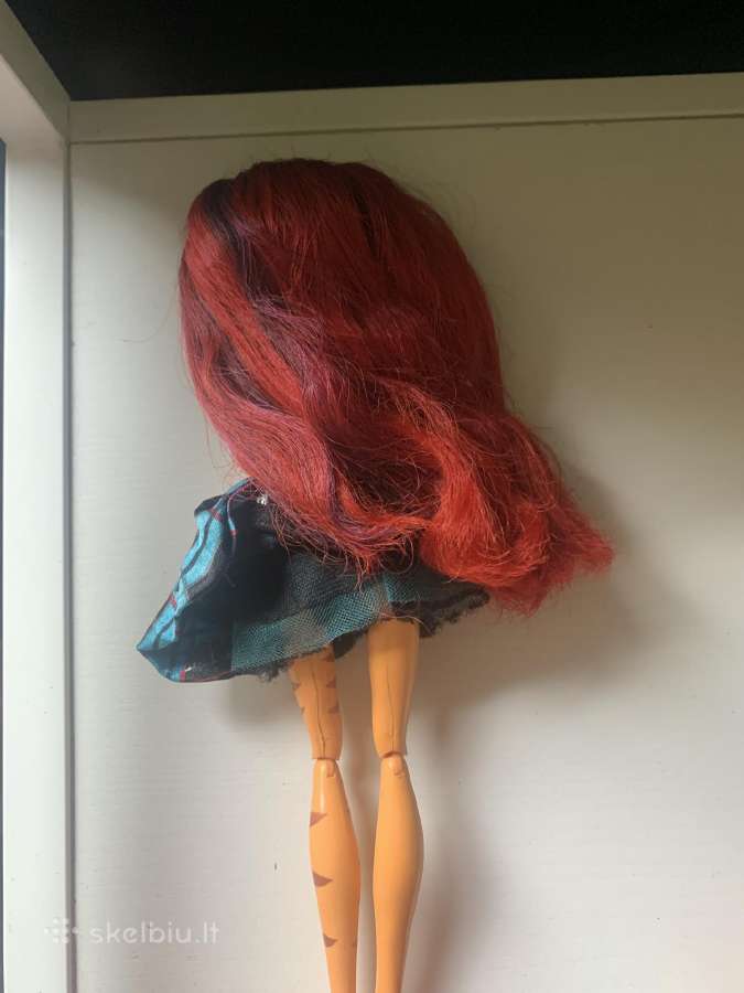 Monster high - nuotraukos Nr. 3