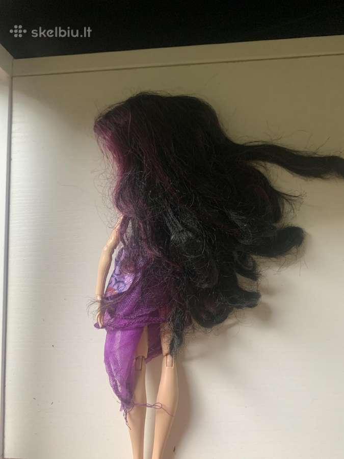 Monster high - nuotraukos Nr. 5