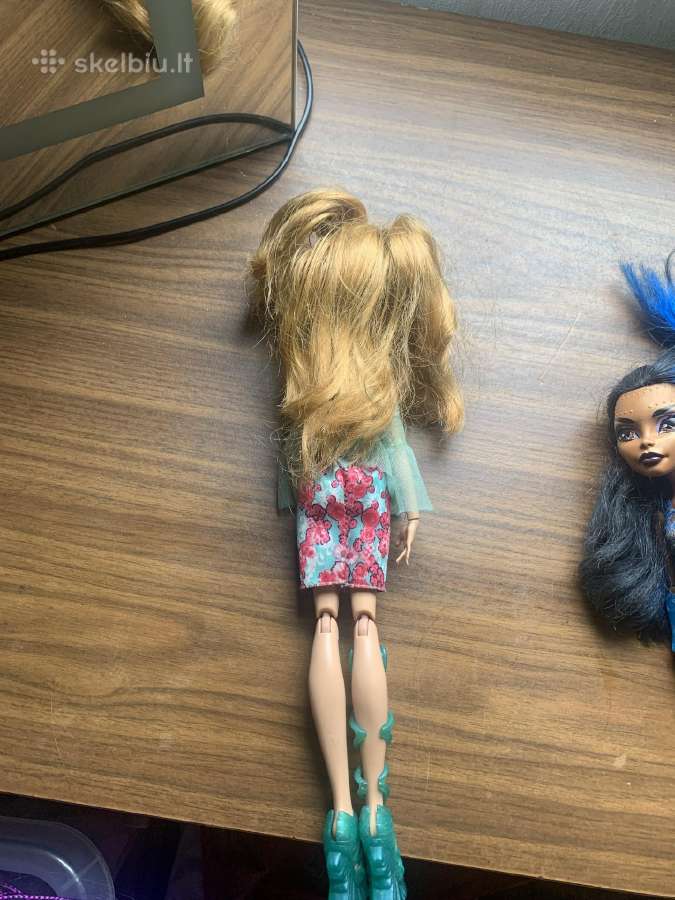 Monster high - nuotraukos Nr. 13