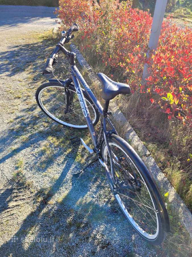 Dviratis Xeed Eco 3 Sport - nuotraukos Nr. 2