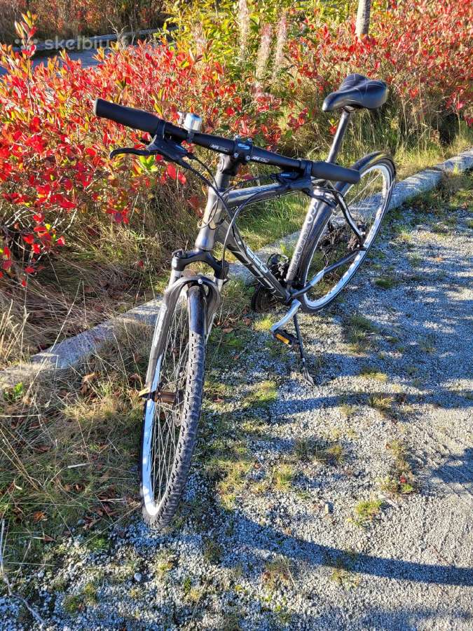 Dviratis Xeed Eco 3 Sport - nuotraukos Nr. 3
