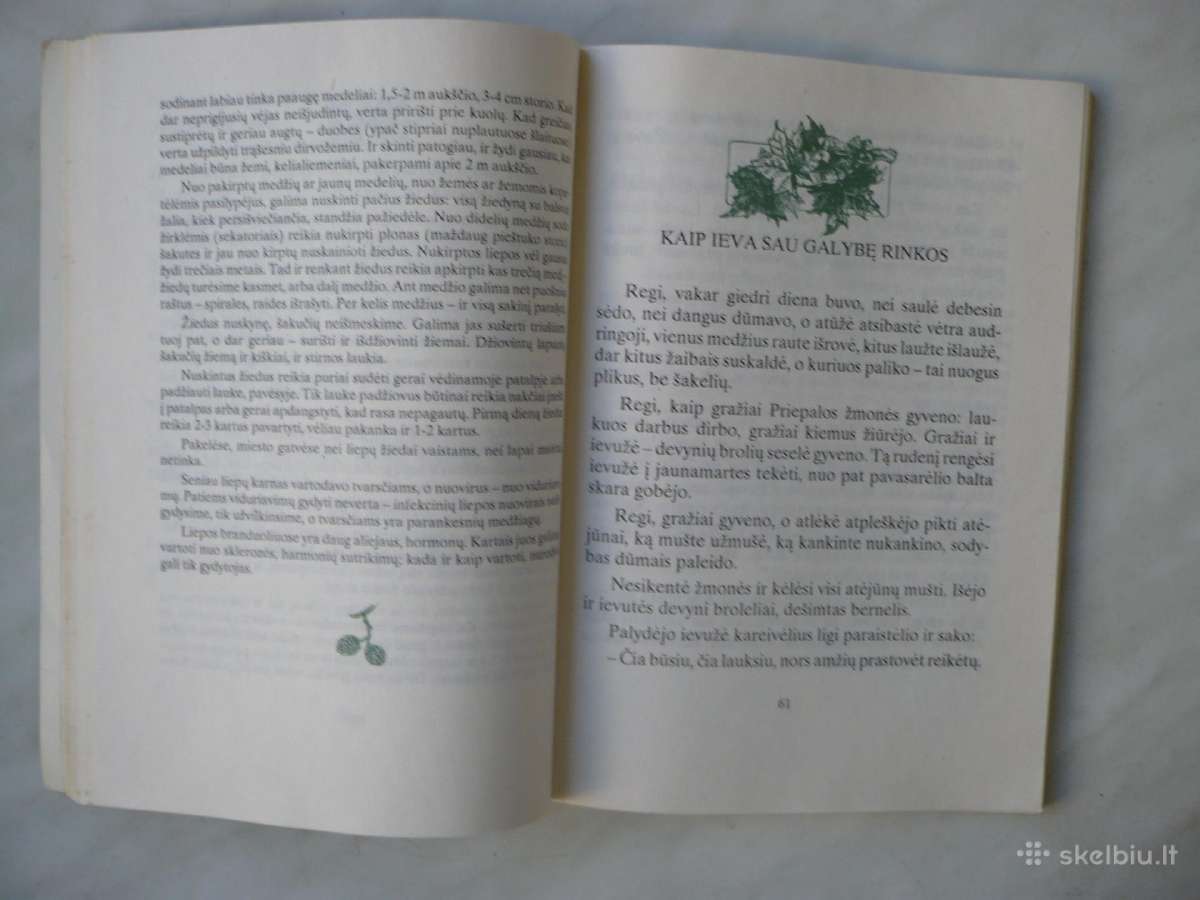 E. Šimkūnaitė- Girios medeliai , žali žaliuonėliai - nuotraukos Nr. 2