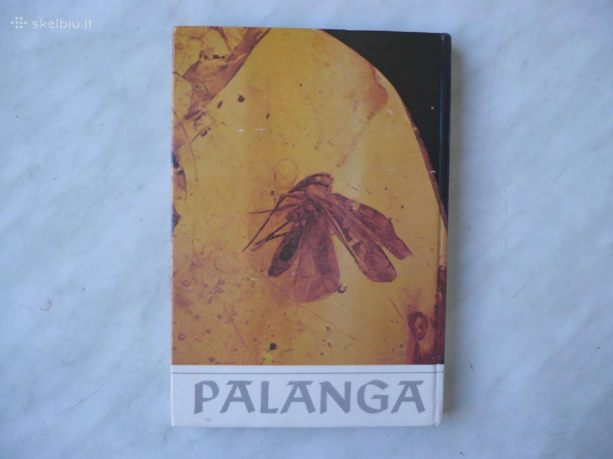 Palanga 1989m - nuotraukos Nr. 6