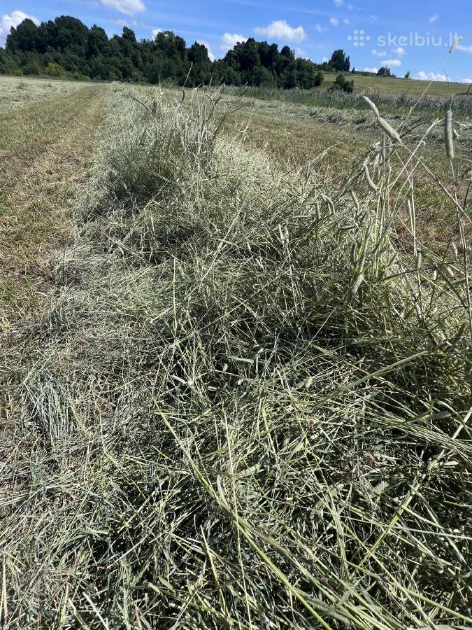 Parduodami šienainio ir šieno rulonai - nuotraukos Nr. 18