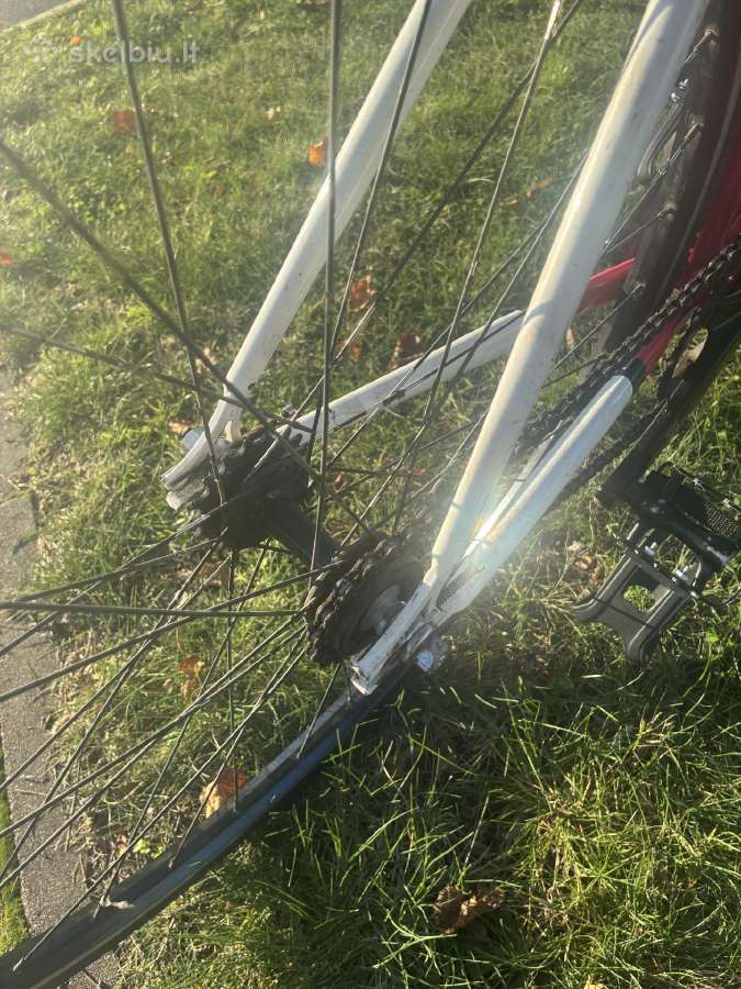 State 4130 52cm Fixed, Single speed, Fixas, Fix - nuotraukos Nr. 5