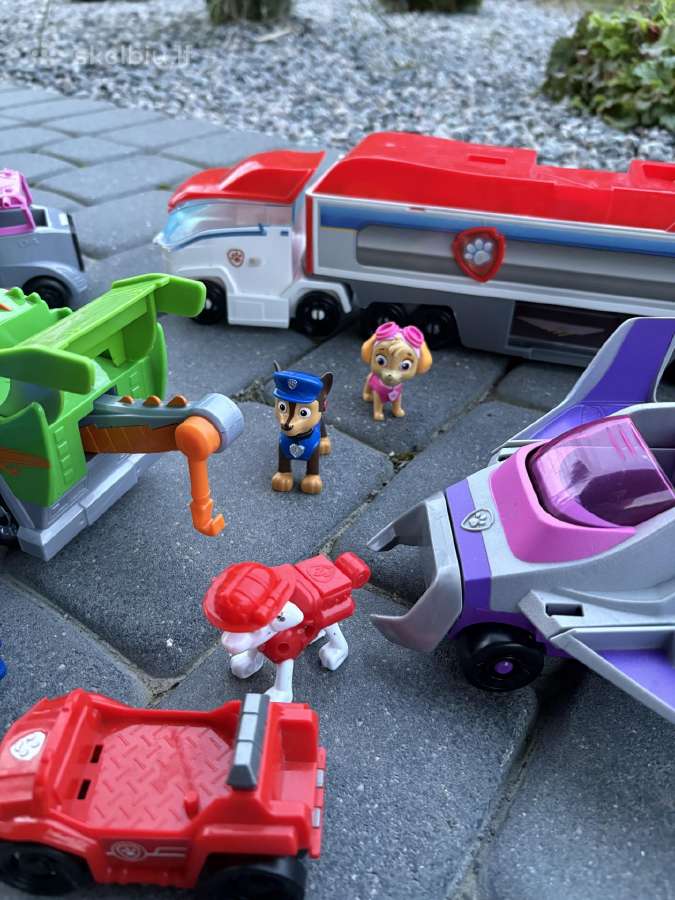 Paw patrol + svenas ledo šalis - nuotraukos Nr. 9