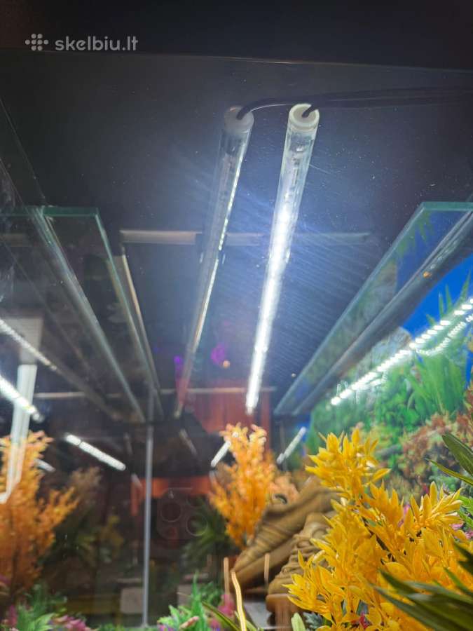 Akvariumas beveik naujas su spintele - nuotraukos Nr. 4