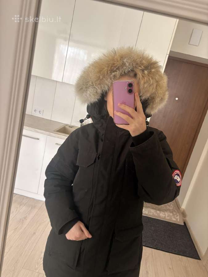 Canada goose - nuotraukos Nr. 3