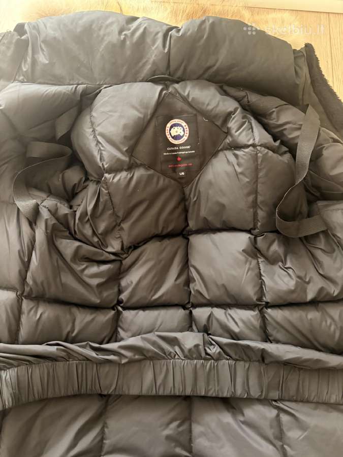 Canada goose - nuotraukos Nr. 4