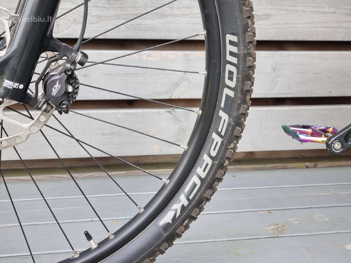 Orbea Alma M50 Carbon L dydis - nuotraukos Nr. 31
