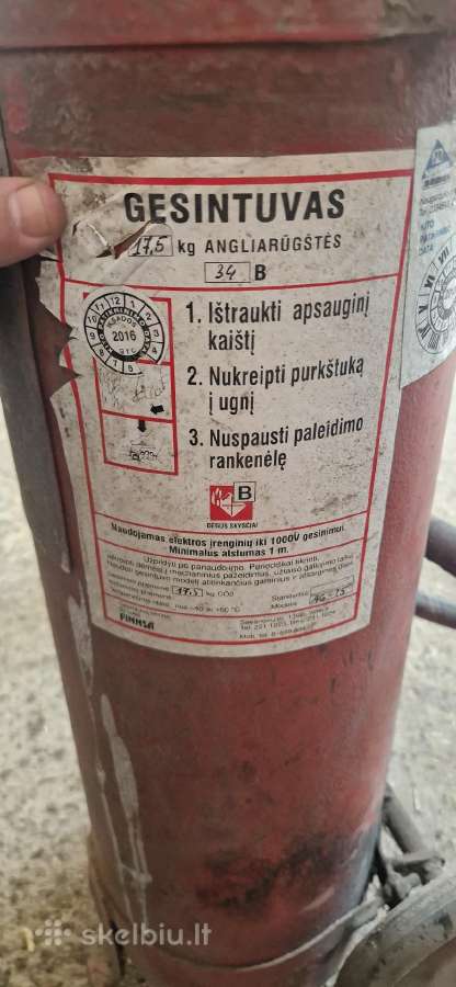 Gesintuvas angliarūšties - nuotraukos Nr. 2