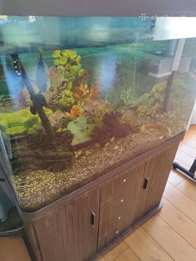 Parduodu akvariumą - nuotraukos Nr. 2