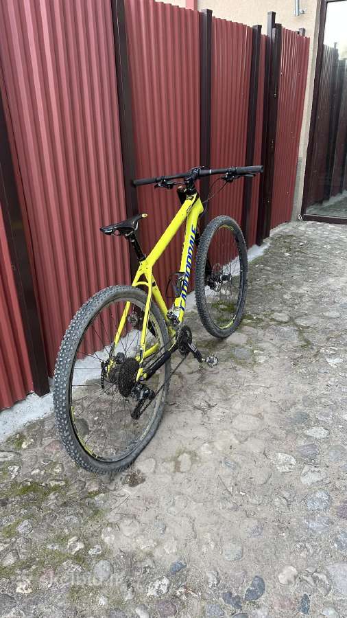 Cannodale Carbon Dviratis - nuotraukos Nr. 5