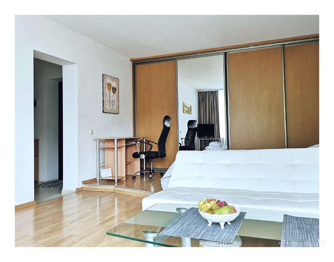 Išnuomojamas Jaukus Studijos Tipo Butas Centre - nuotraukos Nr. 6