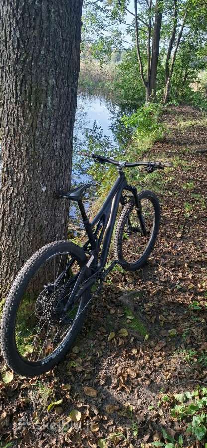Specialized Stumpjumper Alloy 2023 - nuotraukos Nr. 2