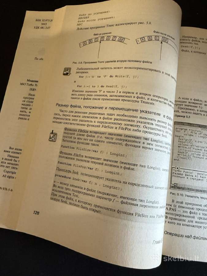 Savimokos vadovas Turbo Pascal - nuotraukos Nr. 3