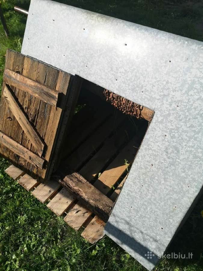 Šulinio stogelis - nuotraukos Nr. 2