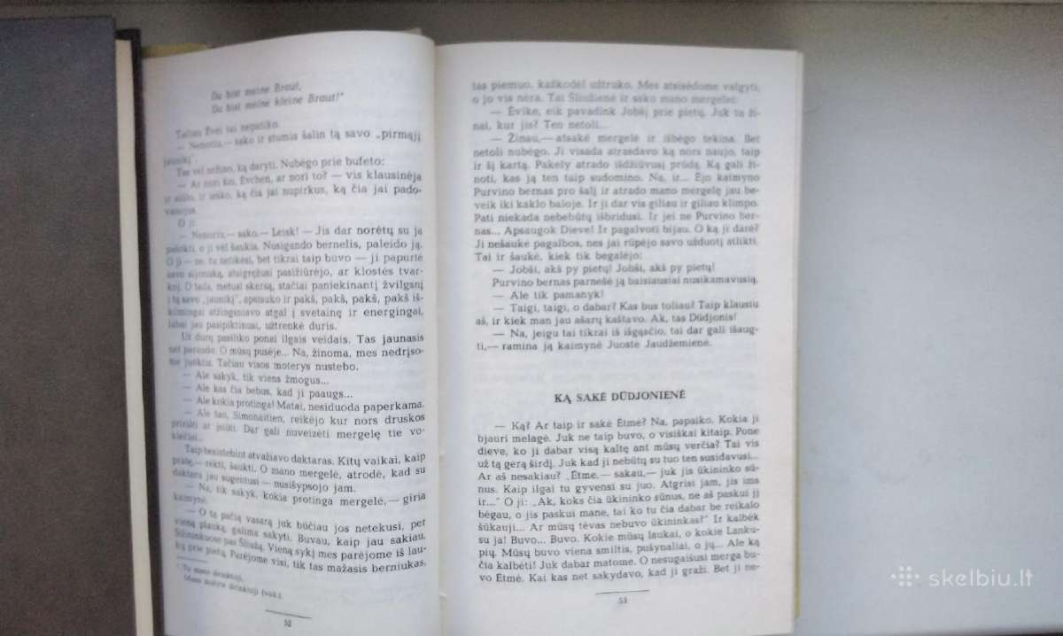 I. Simonaitytė. O buvo taip. Ne ta pastogė - nuotraukos Nr. 6