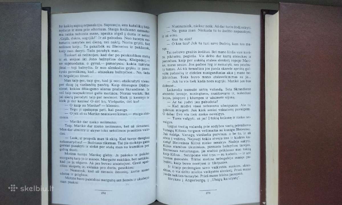 I. Simonaitytė. O buvo taip. Ne ta pastogė - nuotraukos Nr. 7