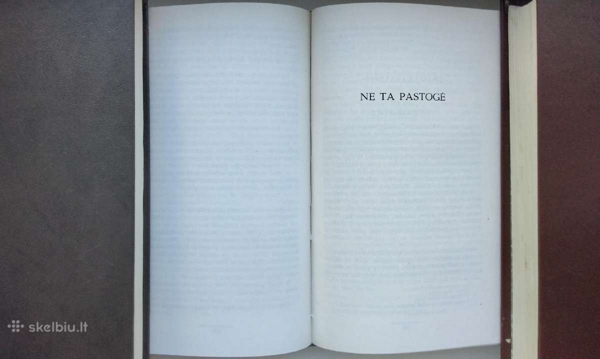 I. Simonaitytė. O buvo taip. Ne ta pastogė - nuotraukos Nr. 8