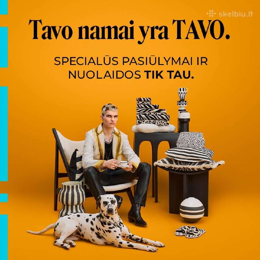 Dalmatinų veislynas - nuotraukos Nr. 12