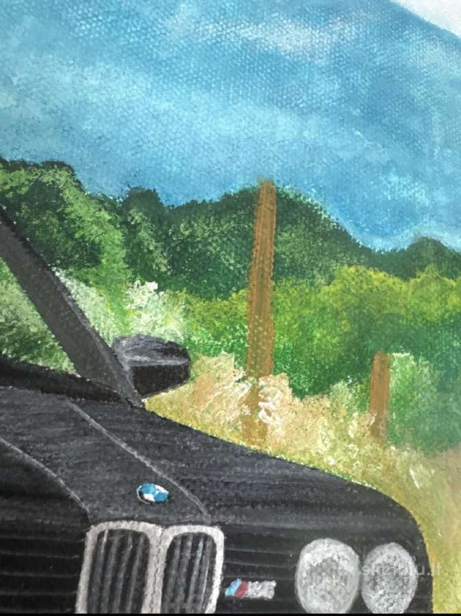 Drobė Bmw e90 - nuotraukos Nr. 4