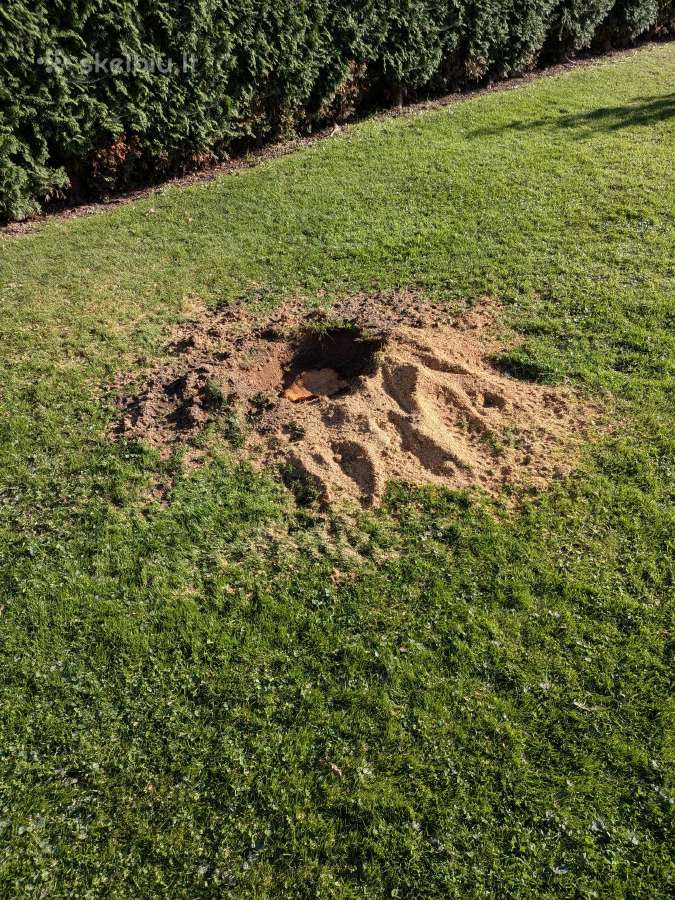 Kelmų šalinimas frezavimas - nuotraukos Nr. 5