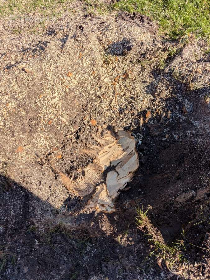 Kelmų šalinimas frezavimas - nuotraukos Nr. 7