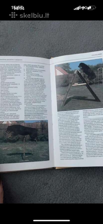 Knyga rotveileris Dzoana bleckmor - nuotraukos Nr. 3