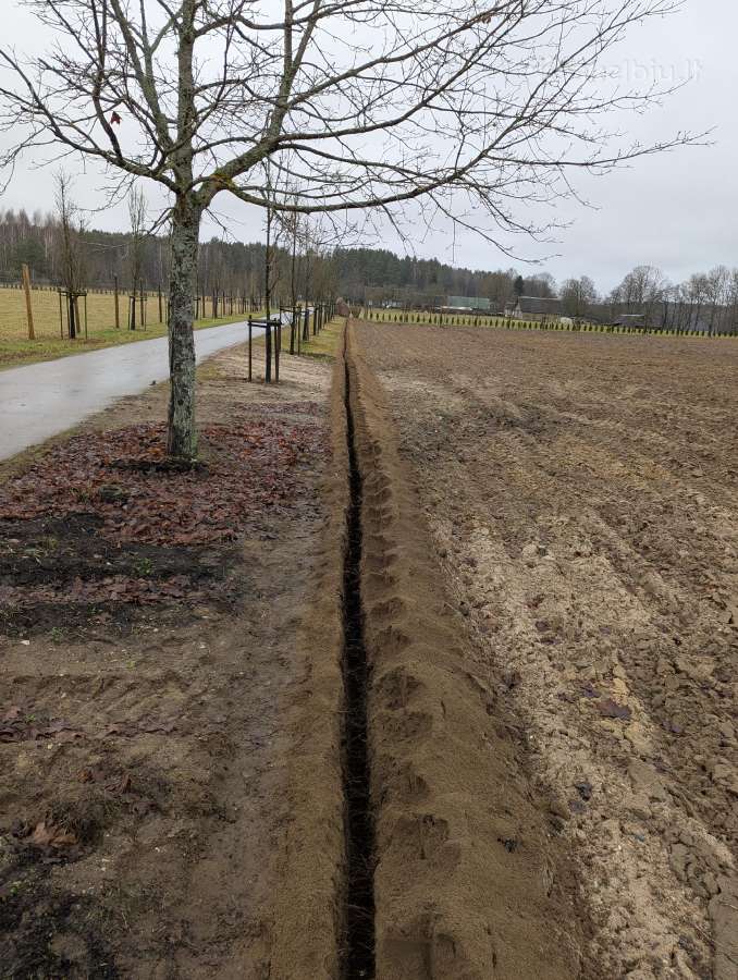 Tranšėjos kasimas - nuotraukos Nr. 31